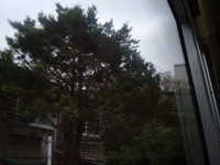  dscf0332.jpg 