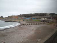  dscf0344.jpg 