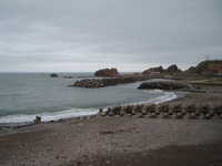  dscf0345.jpg 