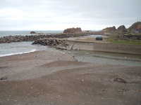  dscf0346.jpg 