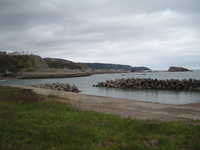  dscf0347.jpg 