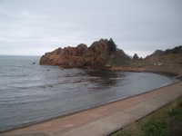  dscf0350.jpg 
