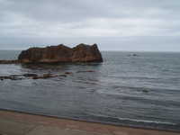  dscf0351.jpg 