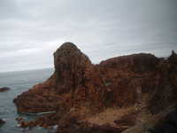  dscf0354.jpg 