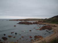  dscf0356.jpg 