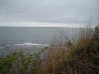  dscf0361.jpg 