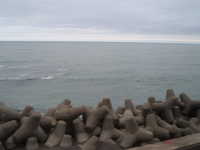  dscf0366.jpg 