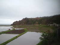 dscf0373.jpg 