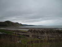  dscf0374.jpg 