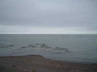  dscf0380.jpg 
