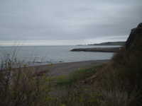  dscf0381.jpg 