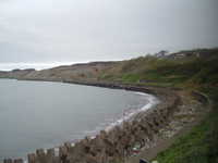  dscf0382.jpg 
