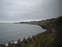  dscf0384.jpg 