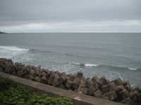  dscf0389.jpg 