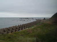  dscf0391.jpg 