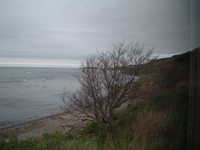  dscf0392.jpg 