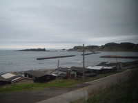  dscf0397.jpg 