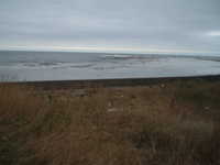  dscf0409.jpg 