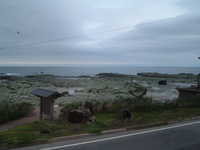  dscf0415.jpg 