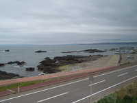  dscf0423.jpg 