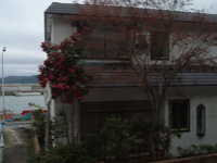  dscf0431.jpg 