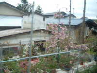  dscf0432.jpg 