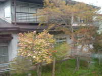  dscf0433.jpg 