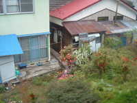  dscf0435.jpg 