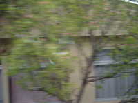  dscf0439.jpg 