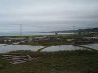  dscf0441.jpg 