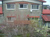  dscf0443.jpg 