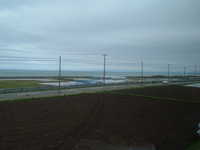  dscf0444.jpg 
