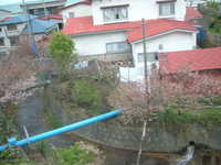  dscf0447.jpg 