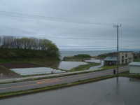  dscf0448.jpg 