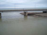  dscf0451.jpg 