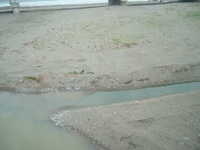  dscf0452.jpg 