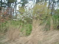  dscf0457.jpg 