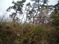  dscf0458.jpg 