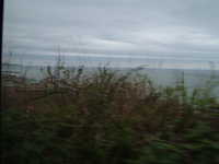  dscf0462.jpg 