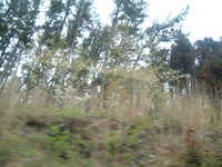  dscf0463.jpg 