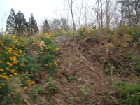  dscf0467.jpg 