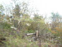  dscf0468.jpg 