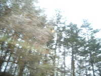  dscf0470.jpg 