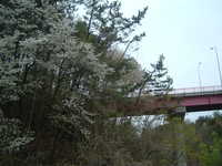  dscf0471.jpg 