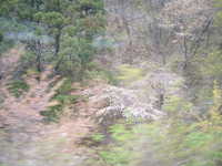  dscf0473.jpg 