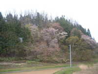  dscf0475.jpg 
