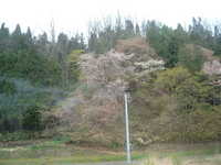  dscf0476.jpg 