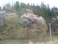  dscf0477.jpg 