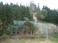  dscf0478.jpg 