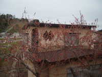  dscf0483.jpg 